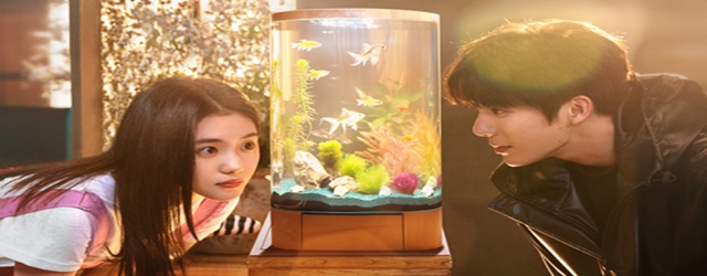 Be Passionately in Love(2025)