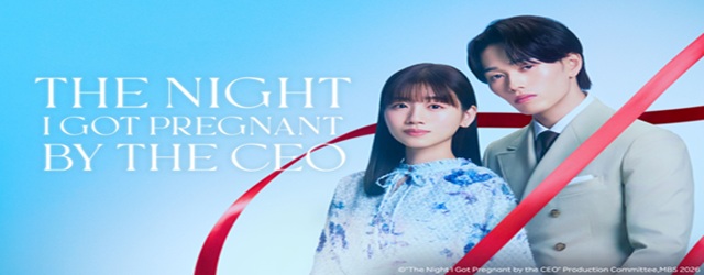 The Night I Got Pregnant by the CEO (2026)
